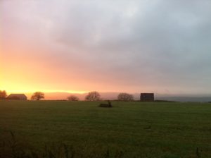 Vue de notre potager